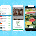 whatsapp-is-evolving-getting-ads-subscriptions-and-more