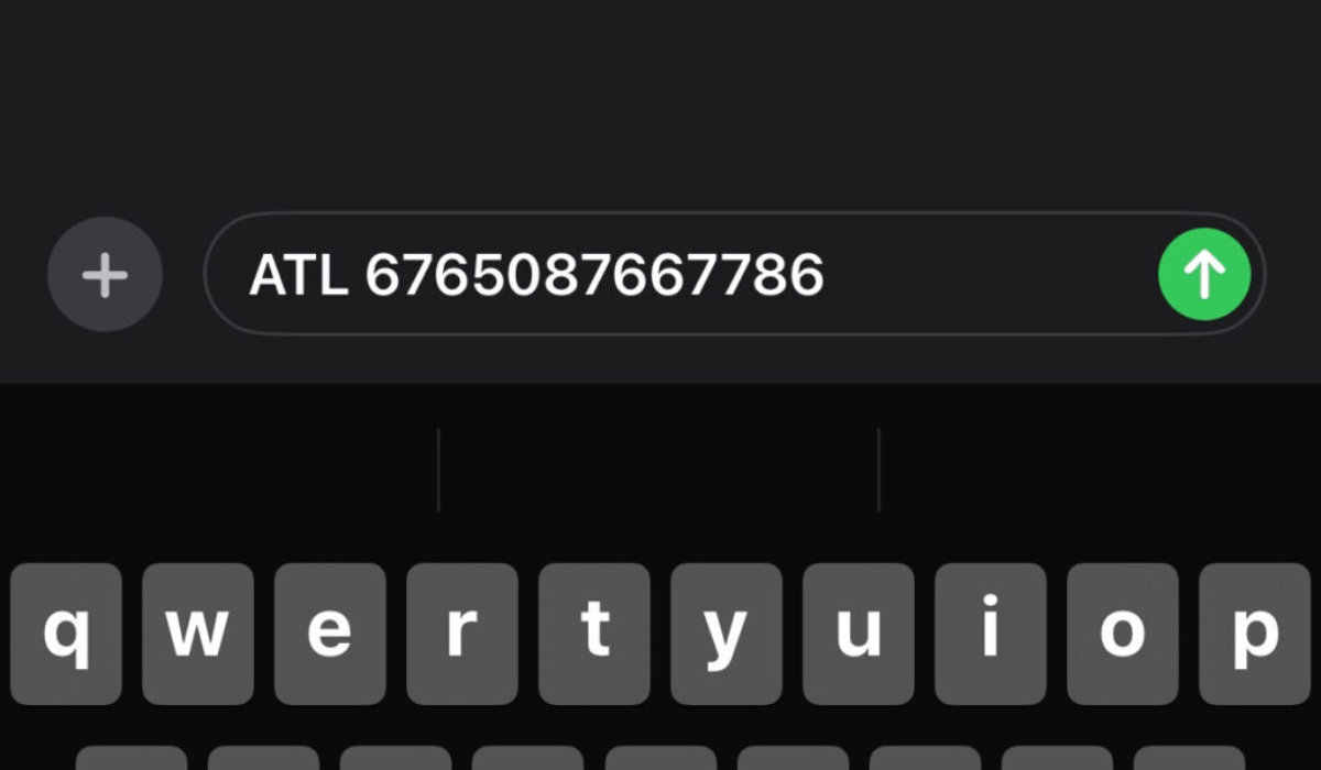 filer-status-verification-through-sms