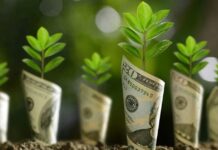 from-action-to-cash-punjabs-game-changing-green-credit-program