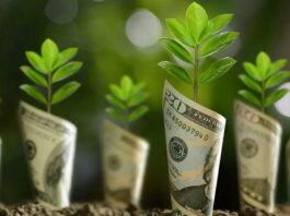 from-action-to-cash-punjabs-game-changing-green-credit-program