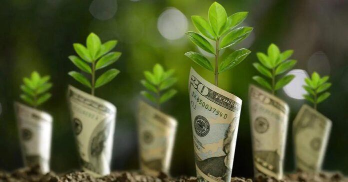 from-action-to-cash-punjabs-game-changing-green-credit-program
