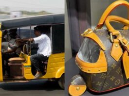 would-you-pay-pkr-1-19-crore-for-a-louis-vuitton-bag-that-looks-like-a-rickshaw