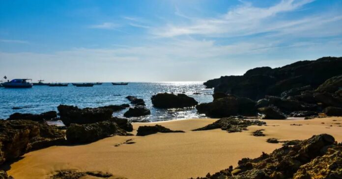 your-2025-guide-to-beach-rentals-in-karachi-for-the-perfect-picnic