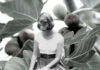 sylvia-plaths-fig-tree-perspective-and-how-itresonating-with-gen-z
