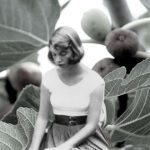 sylvia-plaths-fig-tree-perspective-and-how-itresonating-with-gen-z