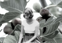 sylvia-plaths-fig-tree-perspective-and-how-itresonating-with-gen-z