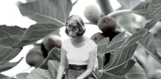 sylvia-plaths-fig-tree-perspective-and-how-itresonating-with-gen-z