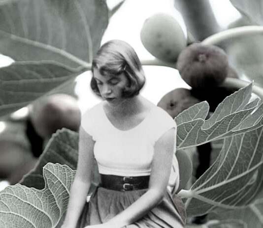 sylvia-plaths-fig-tree-perspective-and-how-itresonating-with-gen-z