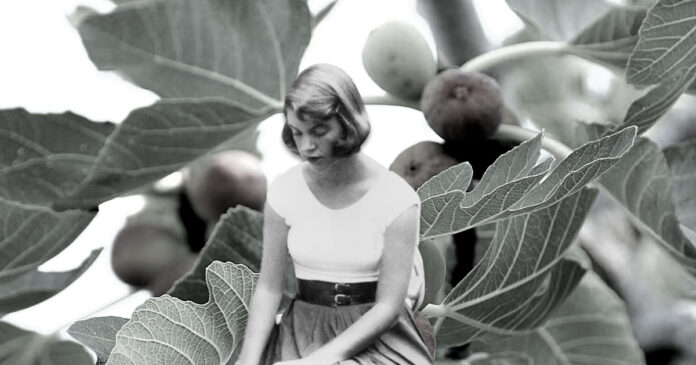 sylvia-plaths-fig-tree-perspective-and-how-itresonating-with-gen-z