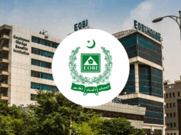 government-portal-shows-offensive-language-on-google