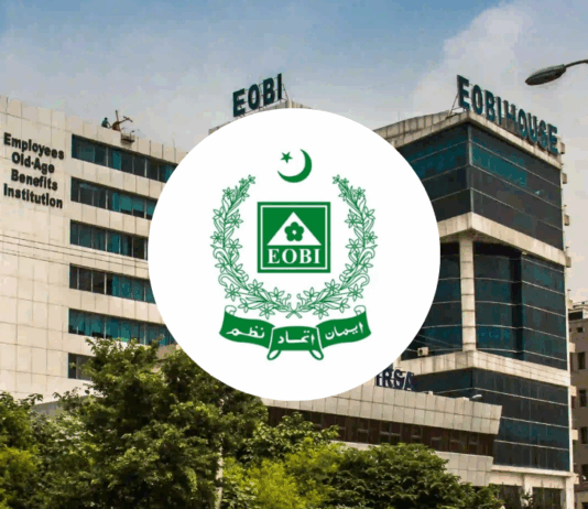 government-portal-shows-offensive-language-on-google