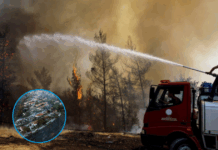 izmirs-sky-turns-black-as-50000-evacuate-in-raging-wildfire