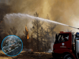 izmirs-sky-turns-black-as-50000-evacuate-in-raging-wildfire
