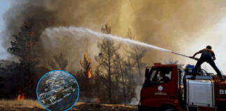 izmirs-sky-turns-black-as-50000-evacuate-in-raging-wildfire