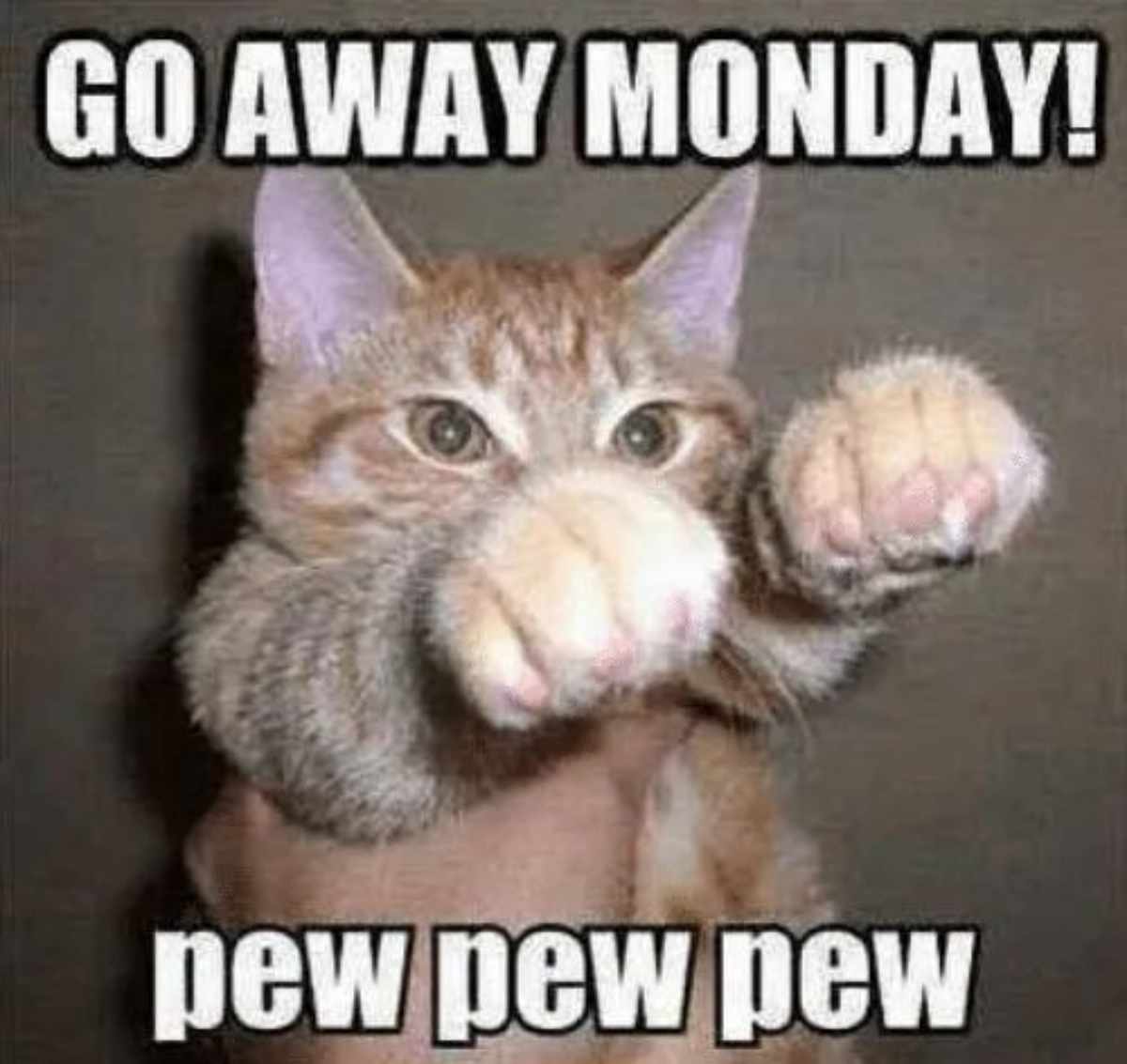 monday-hatred