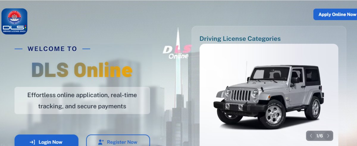 online-dls-website
