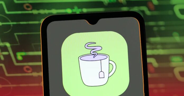 the-new-tea-app-let-women-review-their-dates-until-it-got-hacked