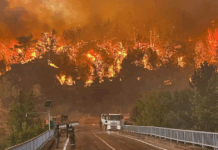 wildfire-in-turkeys-eskisehir-kills-10-firefighters-injures-14