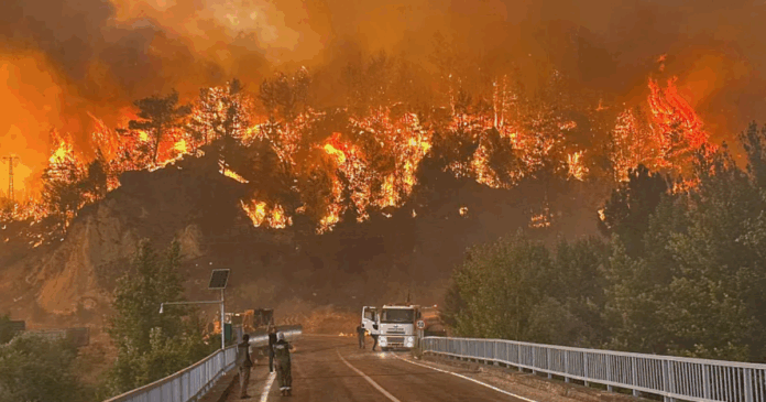 wildfire-in-turkeys-eskisehir-kills-10-firefighters-injures-14