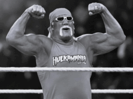 wrestling-icon-hulk-hogan-dies-at-71