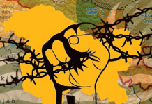 pakistan-stands-firm-with-kashmiris-on-youm-e-istehsal