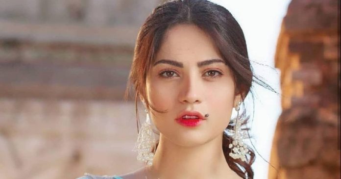 Neelam Munir Dramas