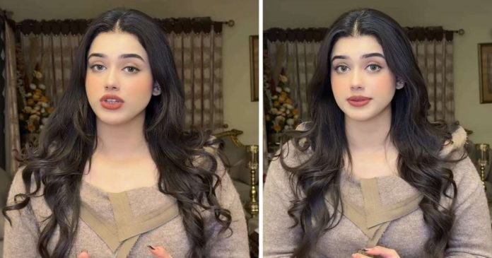 Alina Amir