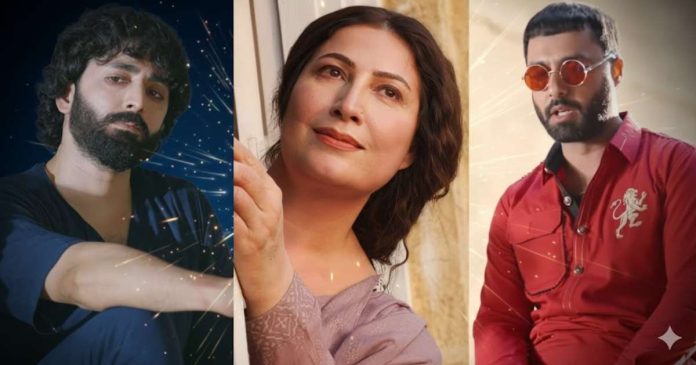 The viral Pakistani drama characters of 2025 reflected a year of creative risk-taking and emotional storytelling.