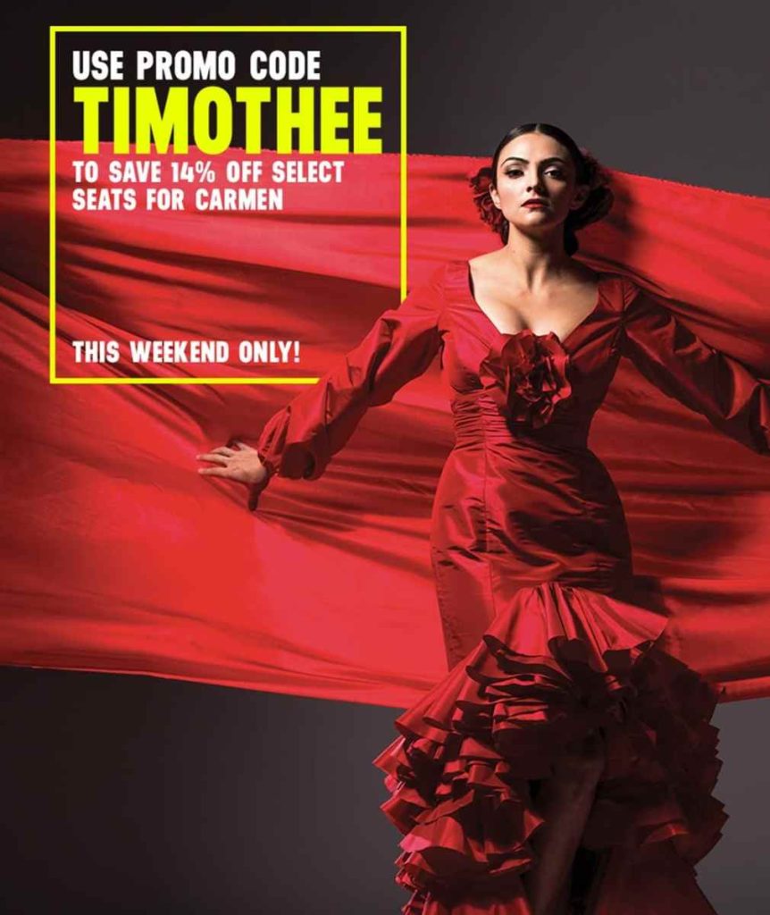 timothee-chalamet-opera
