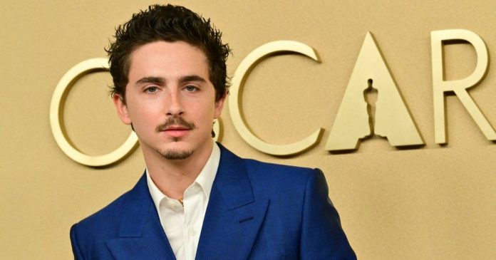 Timothée Chalamet