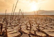 Heatwave Warning: Is a Super El Niño About to Break Our Monsoon? Heatwave in Pakistan