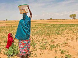 The Gendered Cost: Why the Water Crisis Hits Women Hardest global water crisis