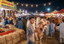 Eid-ul-Azha Goes Viral: How Pakistani Creators Bring Mandi Culture Online