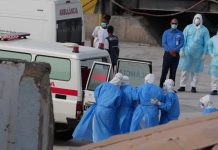 Is Hantavirus the New COVID: What Does WHO Say? Hantavirus outbreak 2026, MV Hondius cruise ship, WHO pandemic statement, Andes virus transmission, Polymarket pandemic odds.