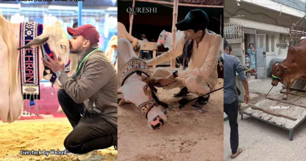 Mandi (cattle market) culture goes digital
