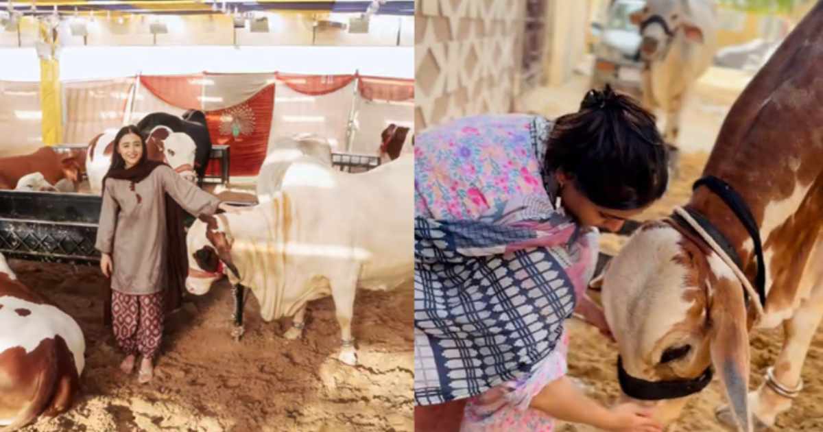 Women creators are also becoming part of animal-related content