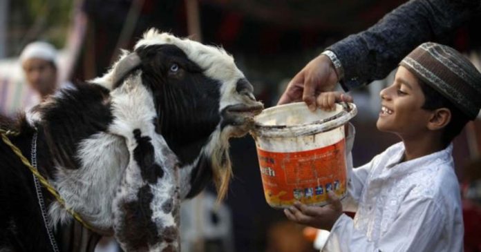 Bakra Eid, Eid al-Adha, Eid in childhood
