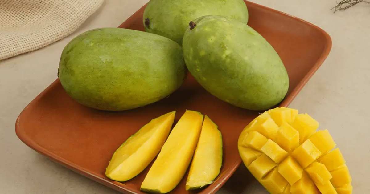 mango name origins, history of mango varieties, pakistani mango names meaning, chaunsa mango history, langra mango story, sindhri mango origin, anwar ratol history, why is langra mango called langra, south asian mango heritage