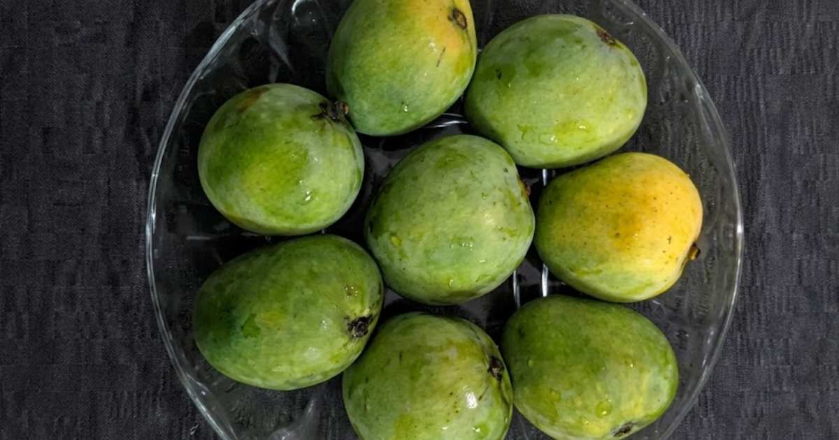 mango name origins, history of mango varieties, pakistani mango names meaning, chaunsa mango history, langra mango story, sindhri mango origin, anwar ratol history, why is langra mango called langra, south asian mango heritage