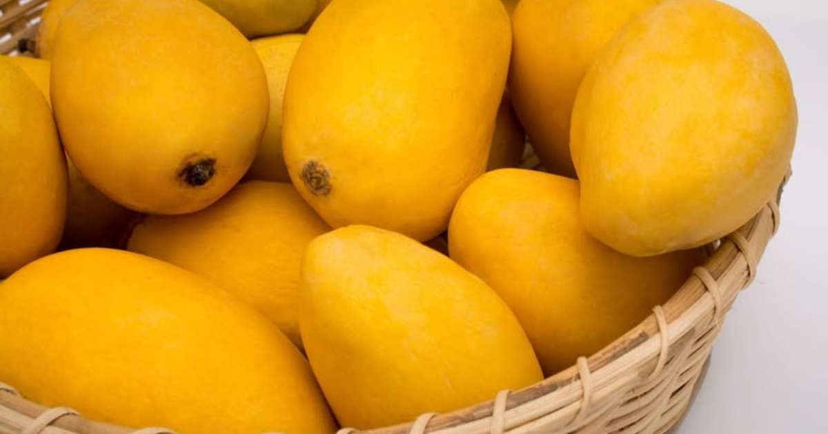 mango name origins, history of mango varieties, pakistani mango names meaning, chaunsa mango history, langra mango story, sindhri mango origin, anwar ratol history, why is langra mango called langra, south asian mango heritage