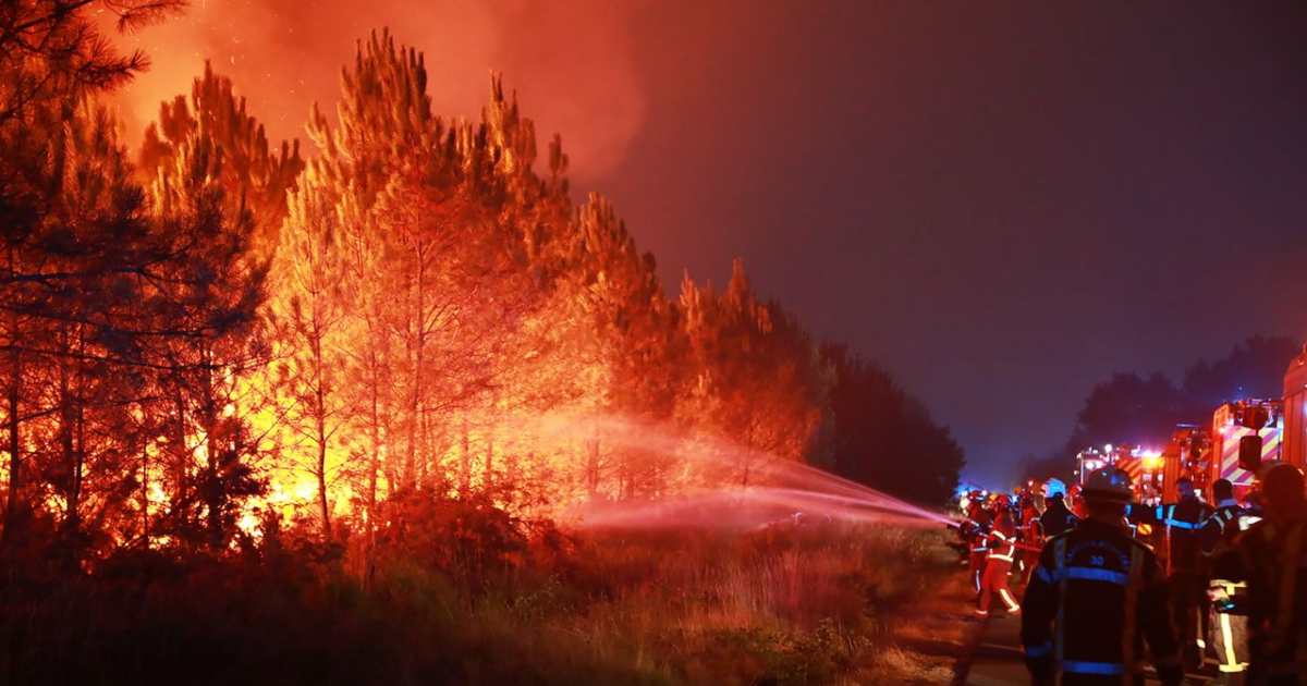 wildfire 