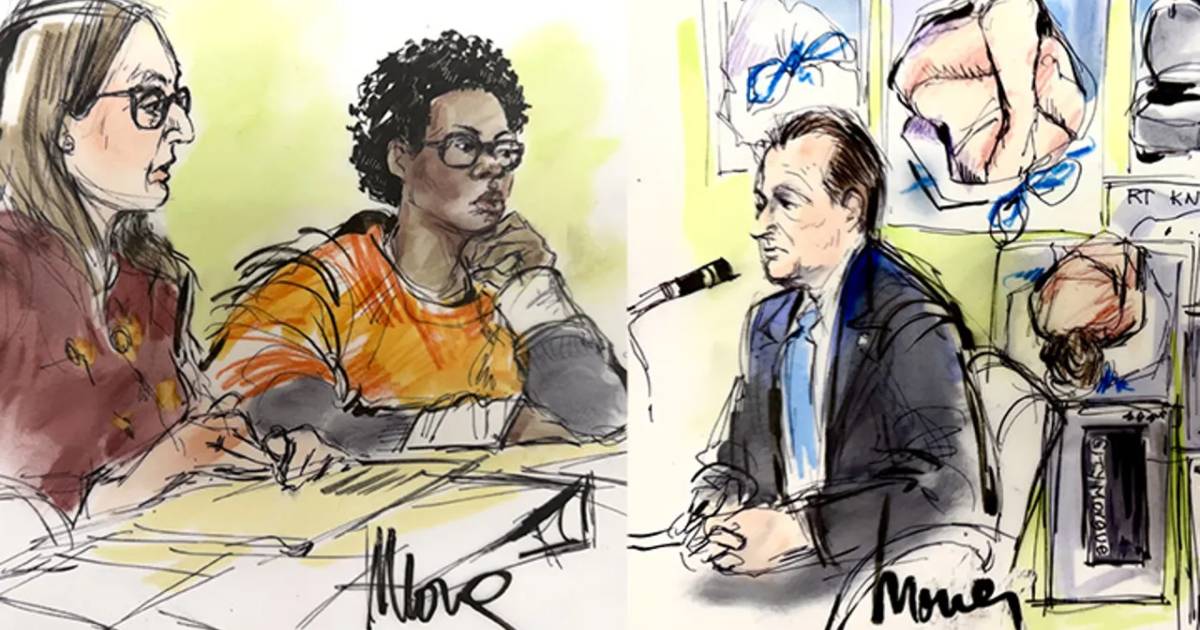 D4vd trial Day 3, D4vd preliminary hearing, Celeste Rivas Hernandez, David Anthony Burke, D4vd murder case, Bluestar forensic testing, LAPD forensic testimony, Blair Berk defense, Tesla location data, touch DNA defense, D4vd court updates.
