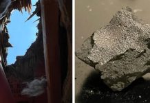 Alien World Chemistry on Our Doorstep: Inside the New Jersey Meteorite That Cracked Open the Secrets of Life