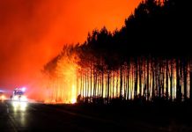 tens-of-thousands-flee-as-france-and-spain-wild-fires-get-out-of-control