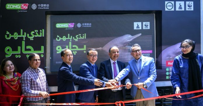 Zong and WWF conservation efforts