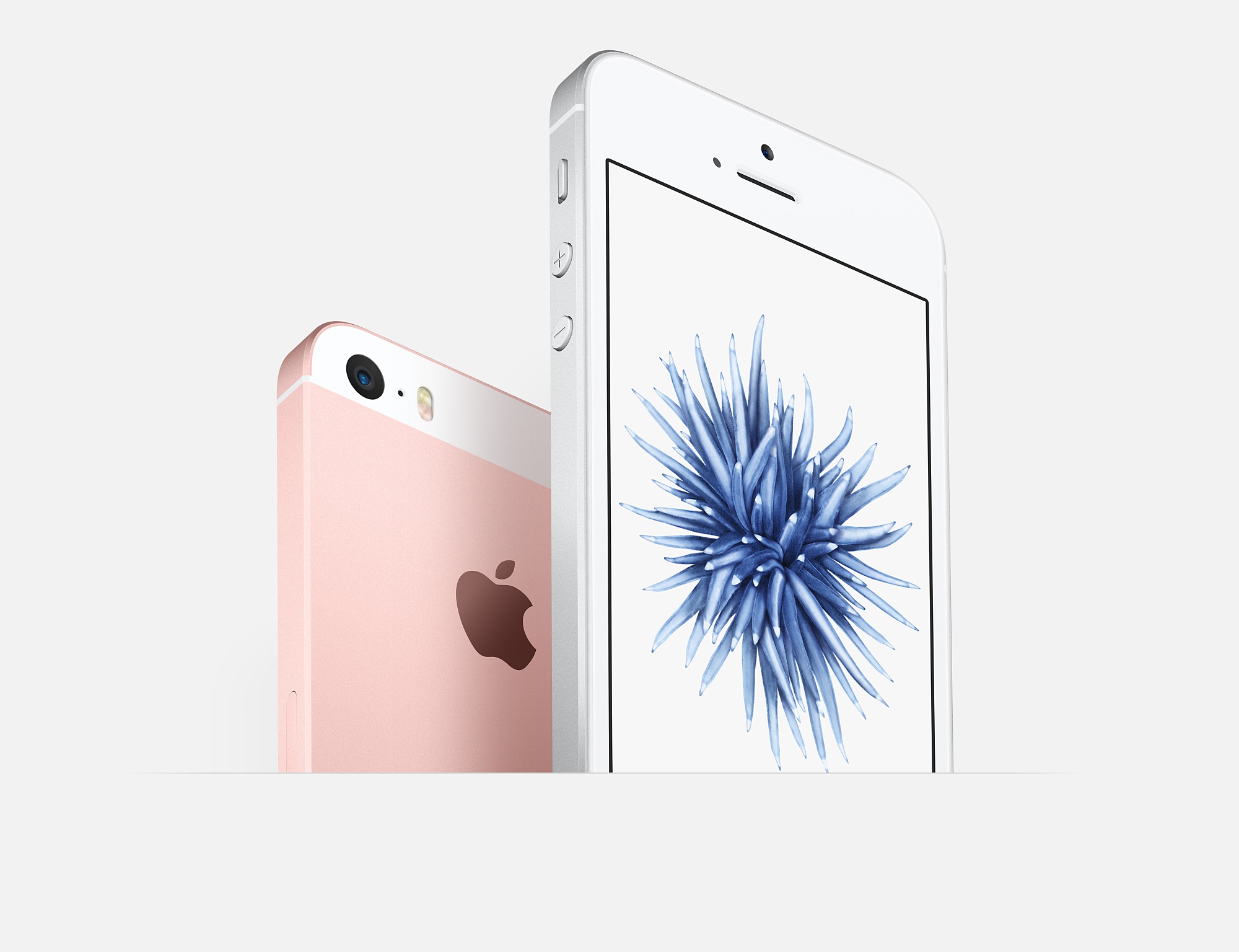 Apple Iphone Se Купить Минск