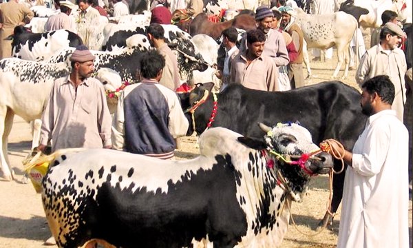 Eid-ul-azha-holidays-2016