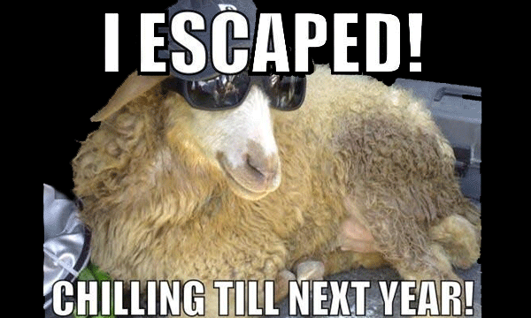 Escaped Bakra