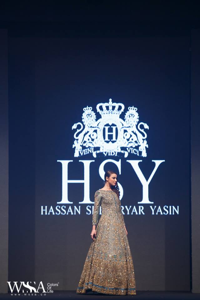 HSY (3)
