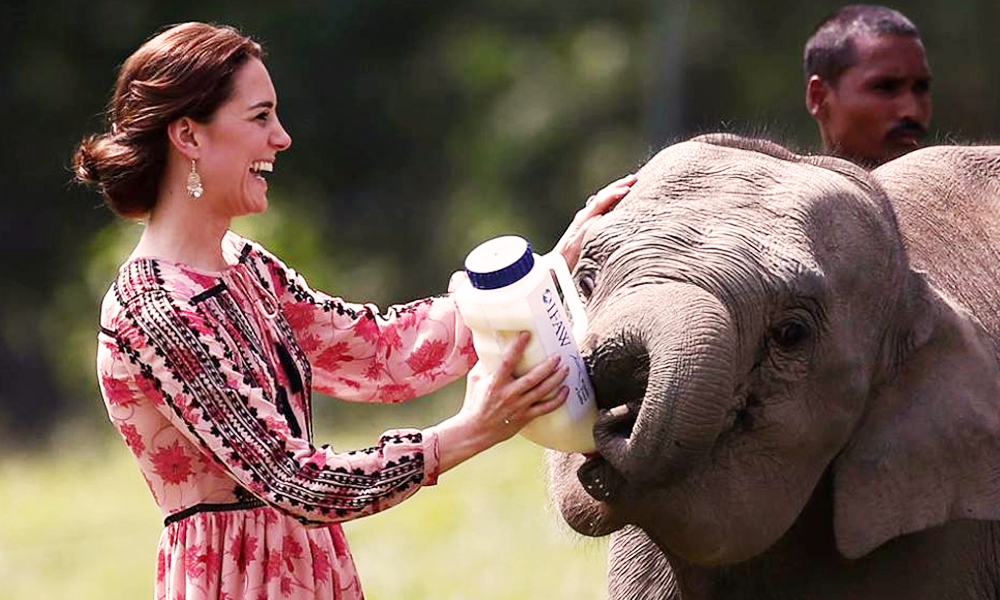 Kate-middleton